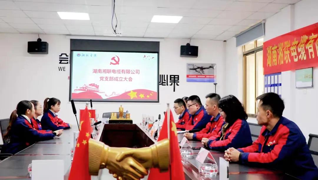 新征程 | 熱烈祝賀湖南湘聯(lián)電纜有限公司黨支部正式成立！