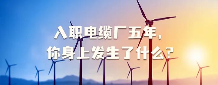 入職電纜廠五年，你身上發(fā)生了哪些變化~