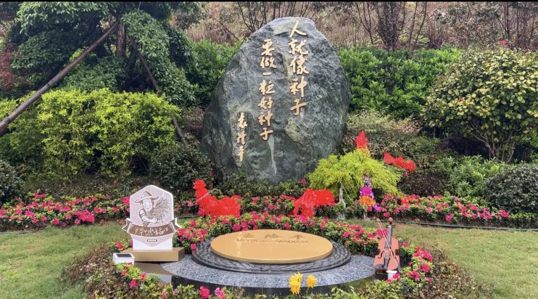 禾下乘涼夢，一稻一人生 我們永遠(yuǎn)懷念袁爺爺 #安全用電你我湘聯(lián)